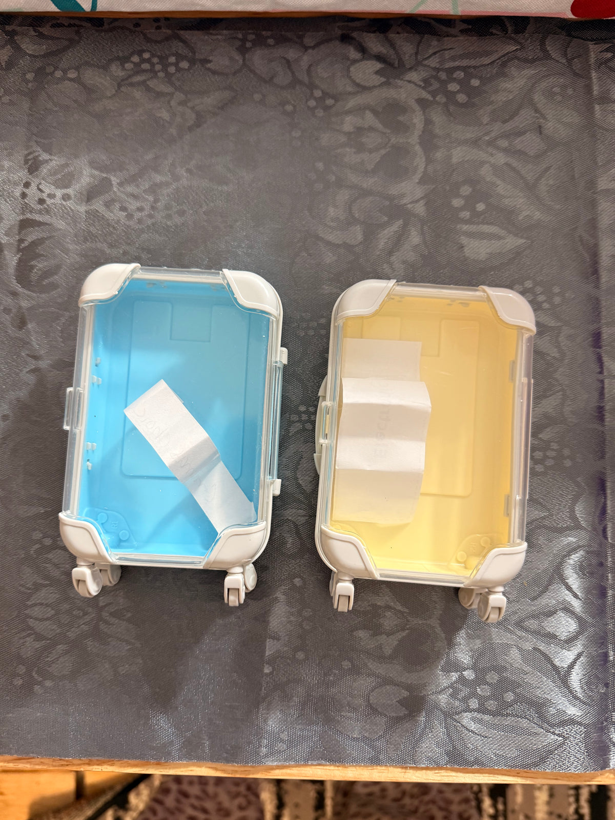 Twins suitcases