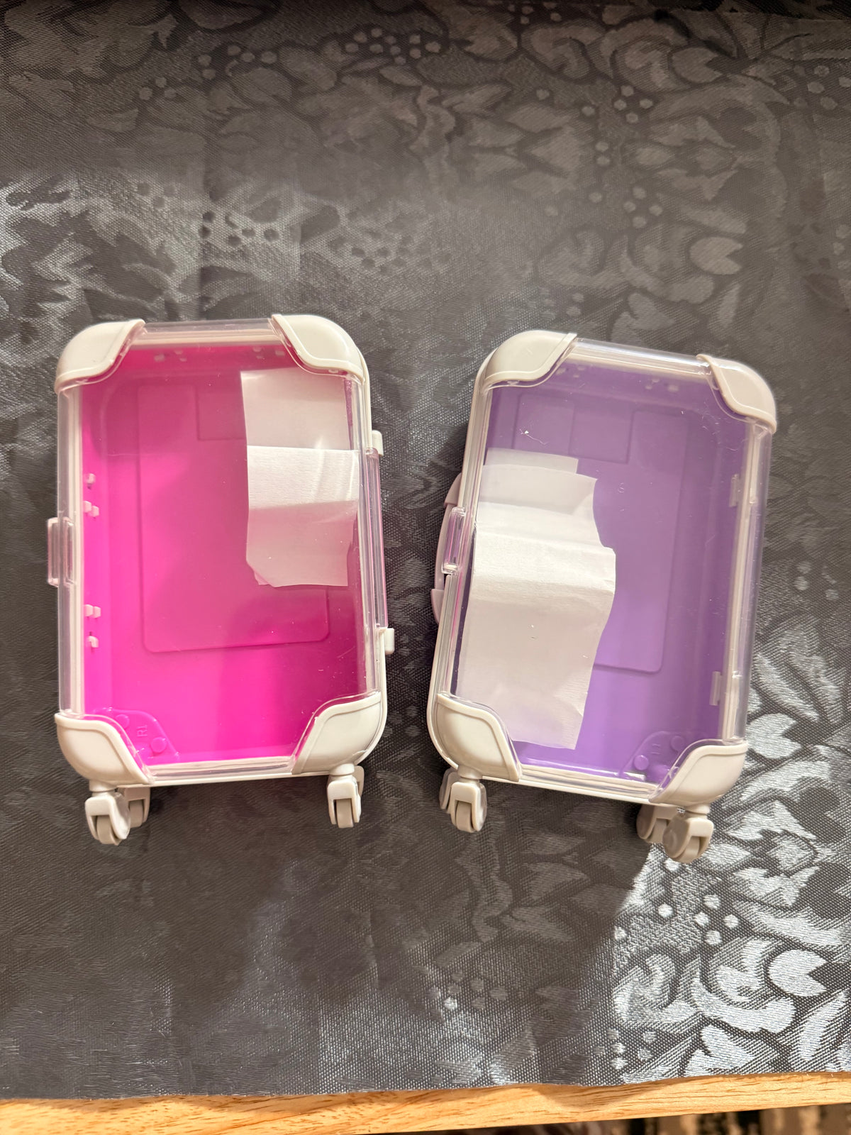 The Twins Vault suitcase